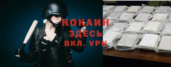 крисы Белокуриха