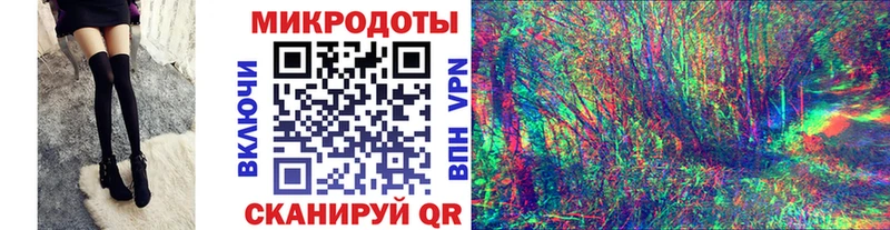 наркота  Красноармейск  Галлюциногенные грибы Psilocybe 